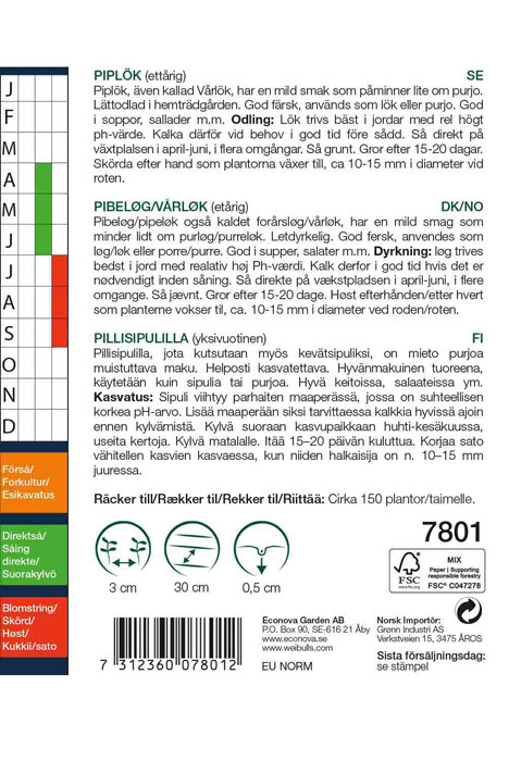 Vårløk 'Long White Ishikura'